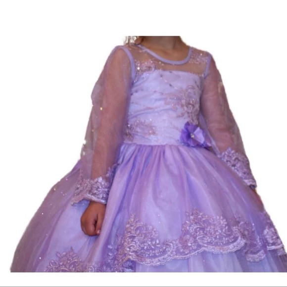 Custom princess dresses in a long sleeve and in color purple! Size 6 - Picture 5 of 16